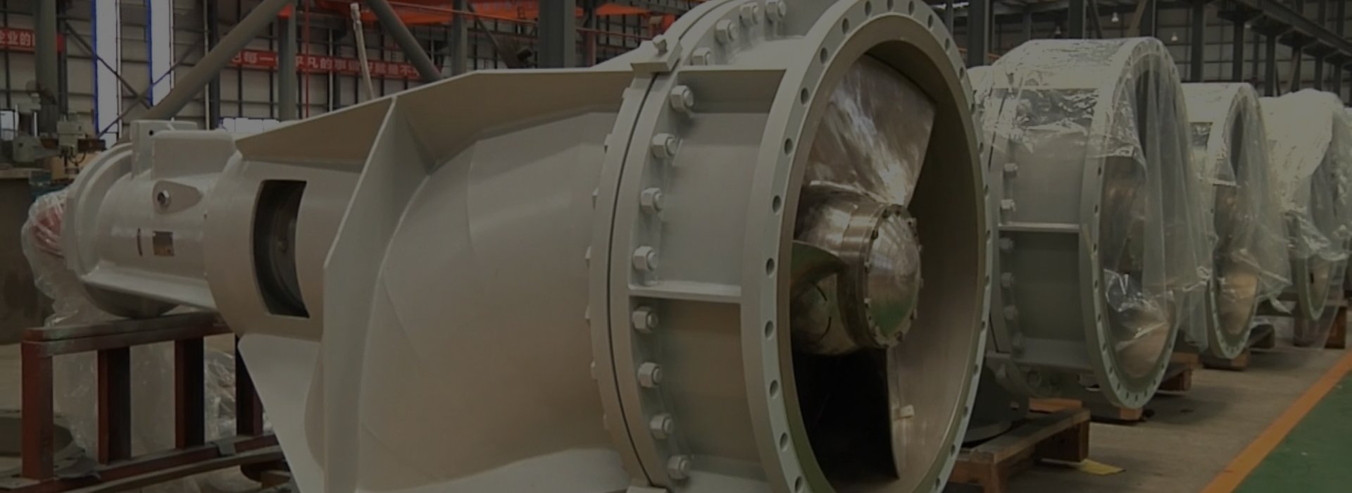 Axial Flow Pump
