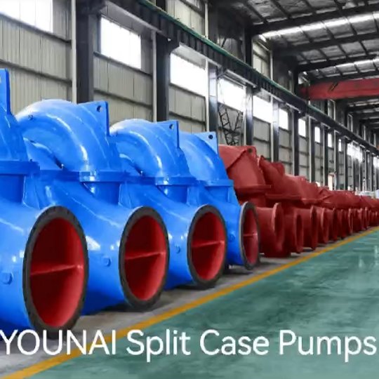 Premium Split Case Pumps From YOUNAI