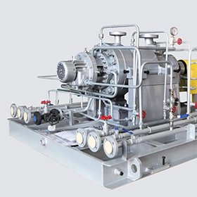 barrel-casing-pump