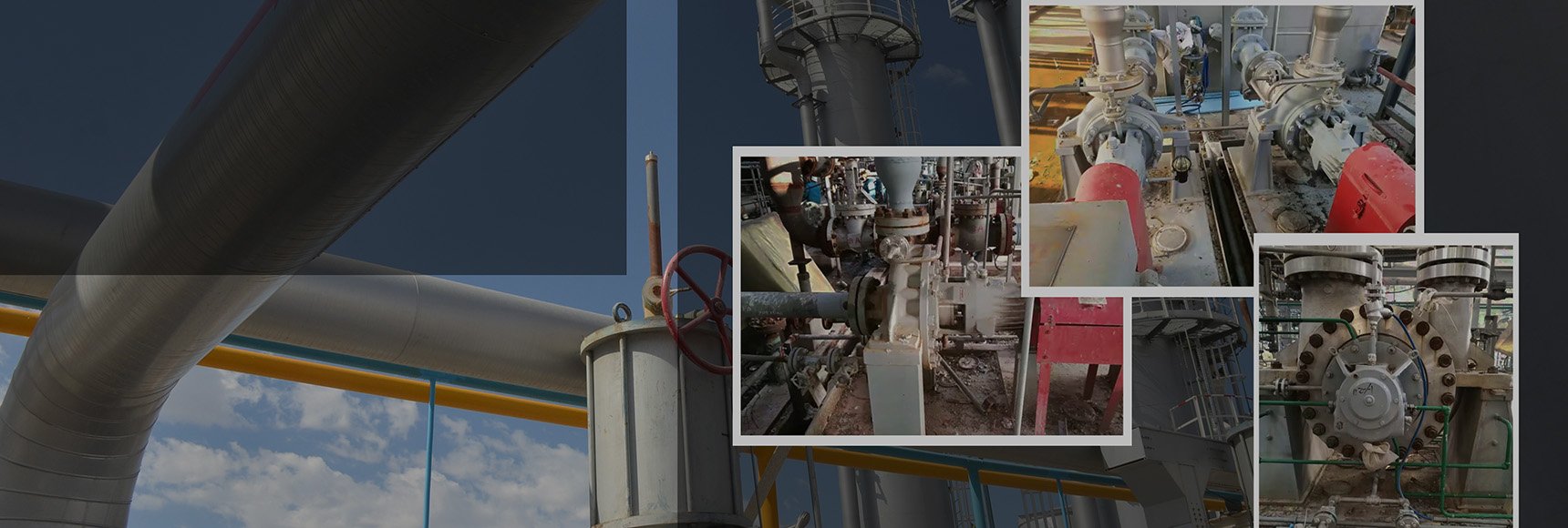 The Leader in API610 Pump