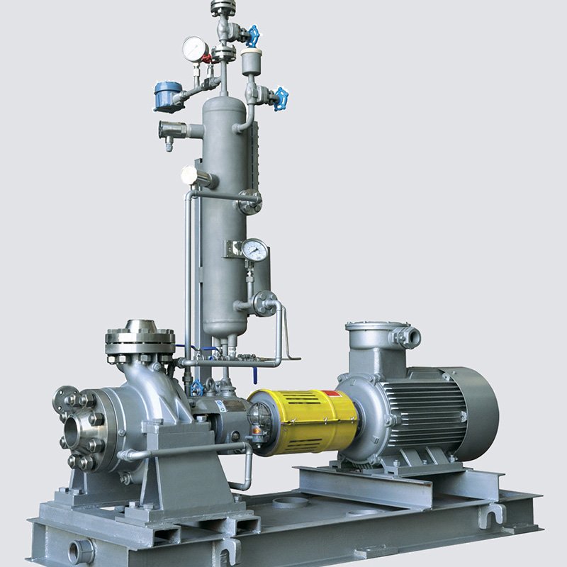 API Process Pumps