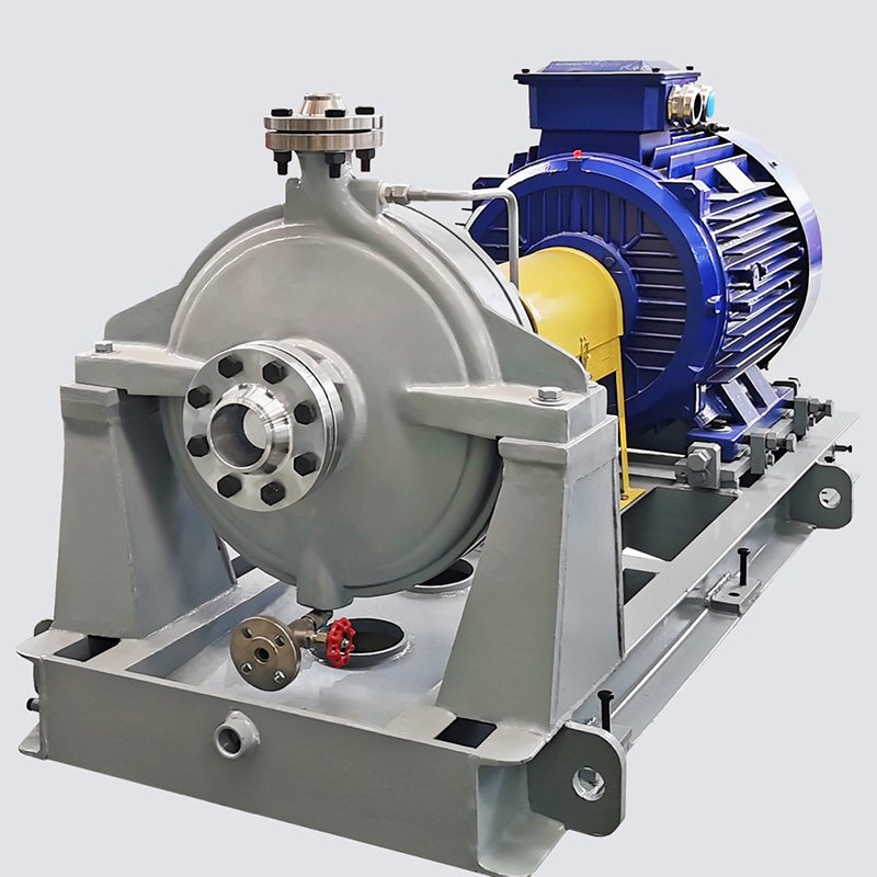 OH2 Process Pump