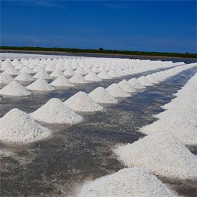salt-production