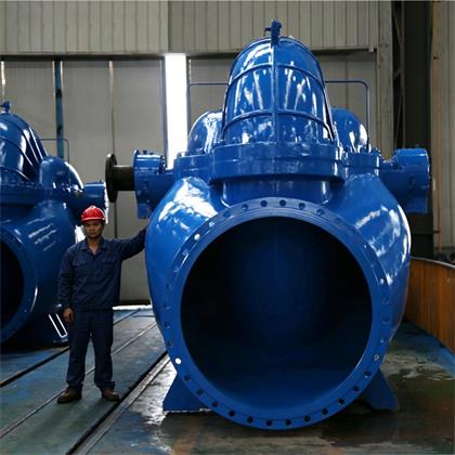large-double-suction-water-pump